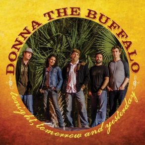 Download track Don'T Know What We'Ve Got Donna The Buffalo