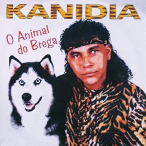 Download track Vem Amor Kanídia