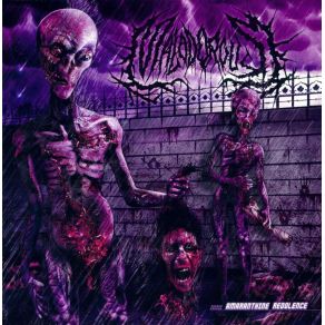 Download track Impregnation (Intro) Malodorous