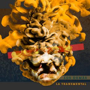 Download track Los Demas La Transmental