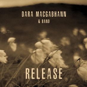 Download track How Did I Get Myself Into This Dara MacGabhann