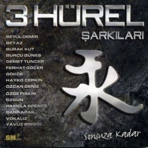 Download track Sana Değmez Üç HürelDemet Tuncer