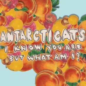 Download track East Coast Surf Punk Antarcticats