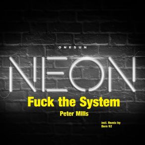 Download track Fuck The System Peter Mills