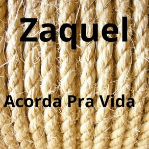 Download track Amor Fogo De Palha ZAQUEL