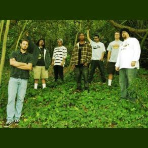 Download track Melody Fortunate Youth