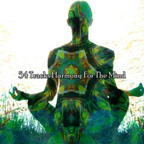 Download track Regrowth For A Heavy Mind Deep Sleep Meditation