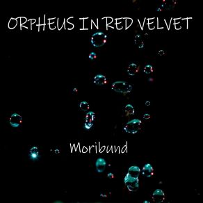 Download track Perfected (Album Version) Orpheus In Red Velvet