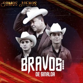 Download track El Ultimo Atardecer Los Bravos De Sinaloa