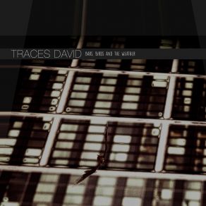 Download track S. W. W. G. A. F. Traces David