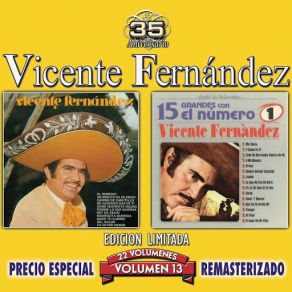 Download track Tiempo Y Destiempo (Tema Remasterizado) Vicente Fernández