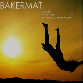 Download track Zomer (Dm Exclusive Mix) Bakermat