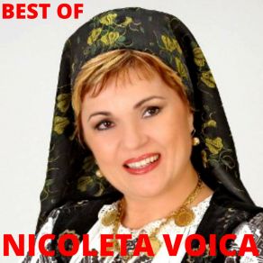 Download track Banatenii Mei Ai Faini Nicoleta Voica