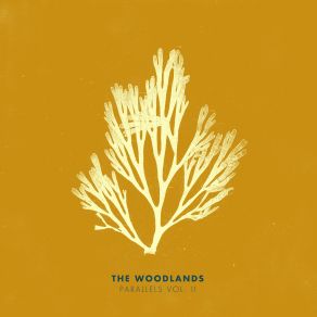 Download track Long Lost Century (Hushed Mix) The Woodlands