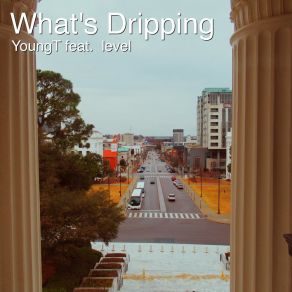 Download track What's Dripping Level