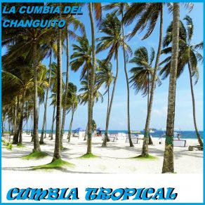 Download track La Indiesita - Hugo Ruiz Cumbia Tropical