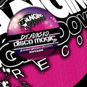 Download track Diggler Disco (Original Mix) DJ Funsko