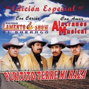 Download track Alejo Sierra Banda Lamento Show De Durango