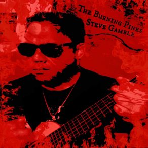 Download track Burned In The Fire Of Life Steve Gamble