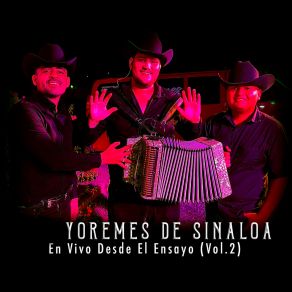 Download track Los Brothers (En Vivo) Yoremes De Sinaloa