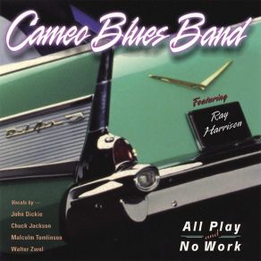 Download track You Can'T Sit Down Cameo Blues Band