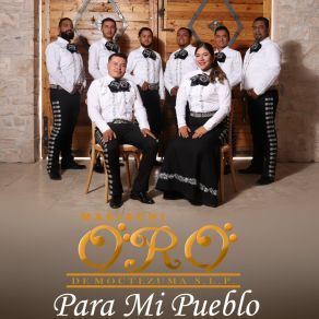 Download track Dos Vicios Mariachi Oro De Moctezuma S. L. P