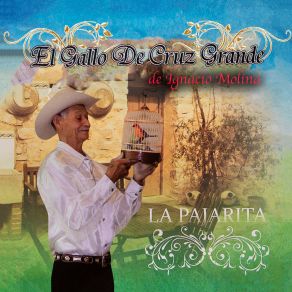 Download track Consejo De Mi Padre El Gallo De Cruz Grande