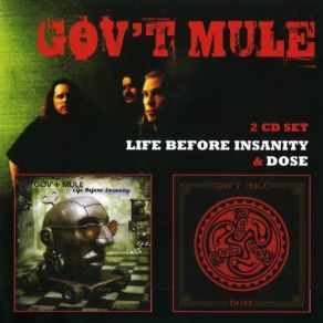 Download track Wandering Child Gov'T Mule