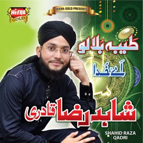 Download track Khuwaja Sahab Shahid Raza Qadri