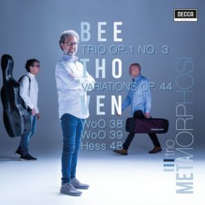 Download track Beethoven: Variations In E-Flat Major, Op. 44-Var. 12. Tempo Primo Trio Metamorphosi