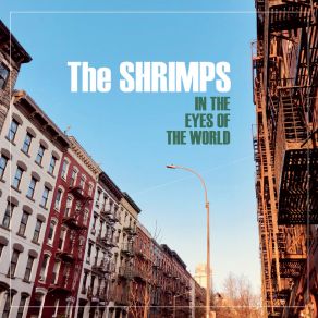 Download track The Road Shrimps