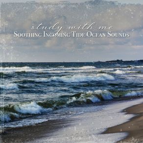 Download track Soothing Incoming Tide Ocean Sounds, Pt. 13 Sebastian Riegl