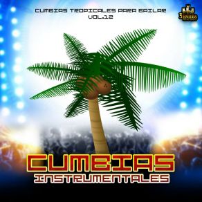 Download track Casi Siempre Estoy Pensando En Ti Cumbias Instrumentales