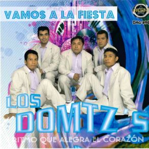 Download track Solterona Los Domtz's