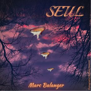 Download track L'un Et L'autre Marc BalangerL'autre