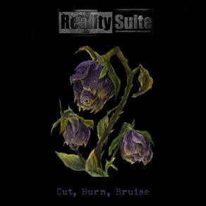 Download track Cut, Burn, Bruise (Instrumental) Reality SuiteΟΡΓΑΝΙΚΟ