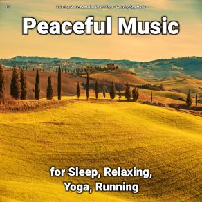 Download track Calming Ambient Soundscapes For Everyone Relaxing Spa Music