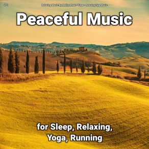 Download track Soothing Music Relaxing Spa Music