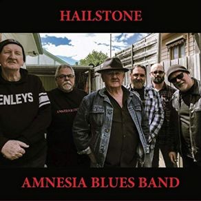 Download track Out Of Time Amnesia Blues Band