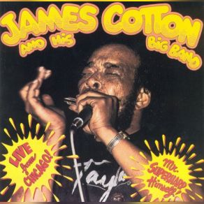 Download track Here I Am (Knocking At Your Door) James Cotton