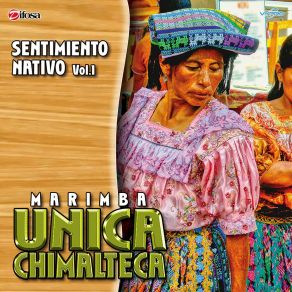 Download track La Posadita Marimba Unica Chimalteca