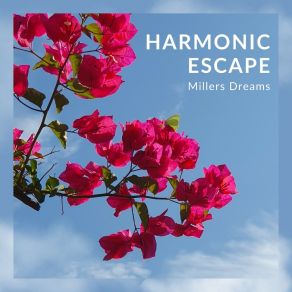 Download track Harmonic Escape (Edit) Millers Dreams