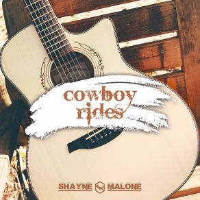 Download track Gone (Acoustic Version) Shayne Malone