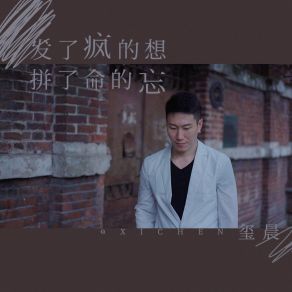 Download track 发了疯的想拼了命的忘 (伴奏) Chen Xi