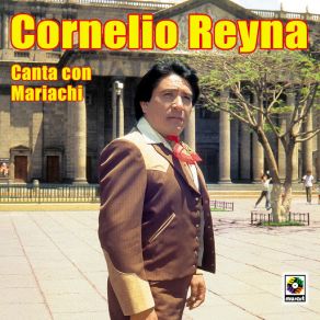 Download track Vestida Y Alborotada Cornelio Reyna