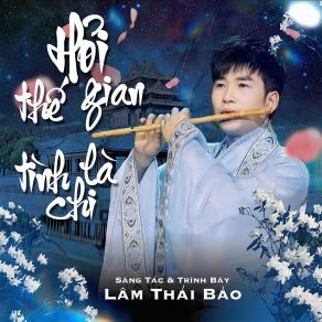 Download track Hỏi Thế Gian Tình Là Chi Lâm Thái Bảo