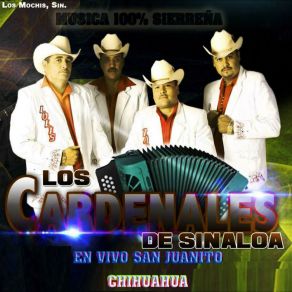 Download track Valentin Felix Los Cardenales De Sinaloa