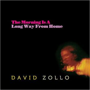 Download track New Man Blues David Zollo