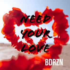 Download track Need Your Love (Radio Edit) BDRZN