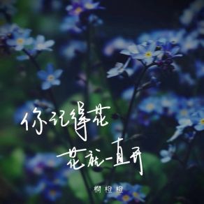 Download track 你记得花花就一直开 (伴奏) 桐橙橙